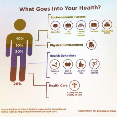 What Goes Into Your Health?