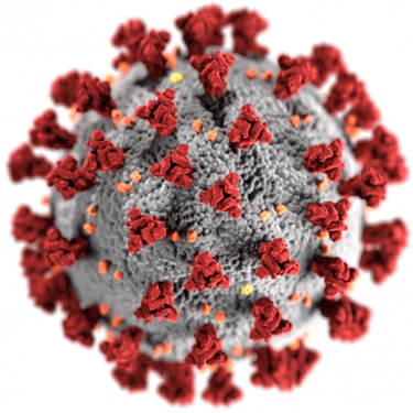 CDC Image of Coronavirus